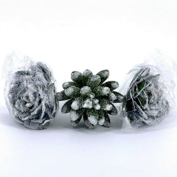 Craft Succulent Winter Frosted Glitter Snow Christmas Craft Plants 3.5″ Lot Of 3 - Picture 1 of 6